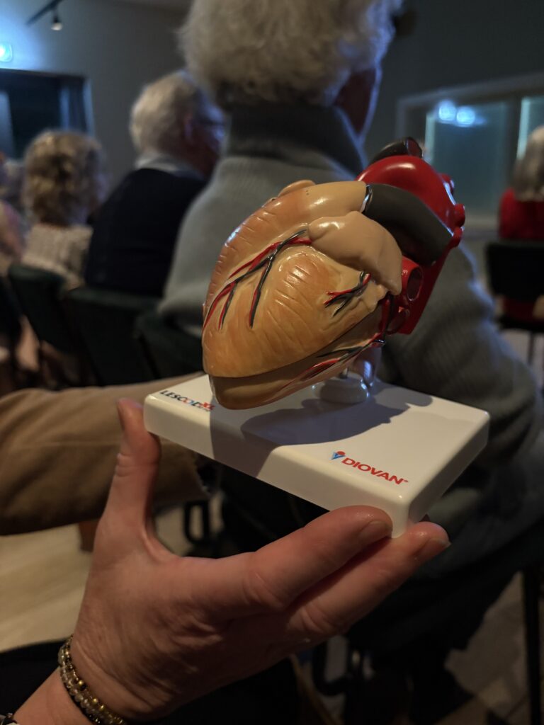 model hart (geen vrouwenhart)